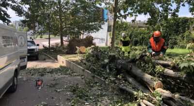 Emergenza “Vento forte Milano 2023”